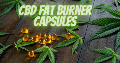 CBD Fat Burner Capsules: A Comprehensive Guide | Go Green CBD