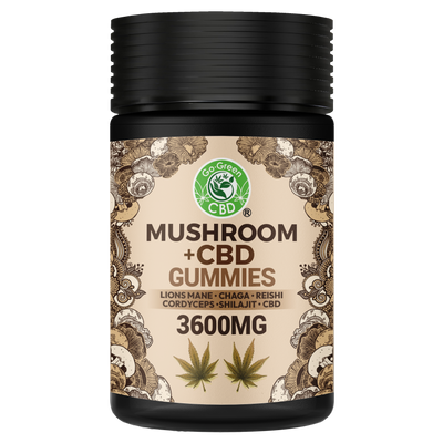 GO GREEN MUSHROOM + CBD GUMMIES 4200MG